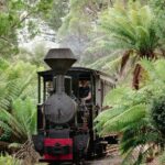 Wee Georgie Wood Steam Railway