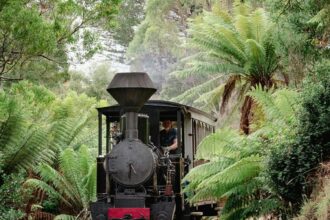 Wee Georgie Wood Steam Railway